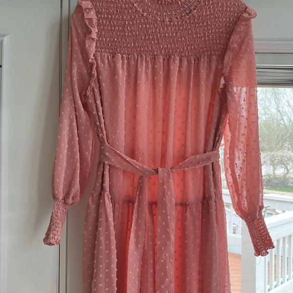 Pink Swiss dot dress - Picture 3 of 3